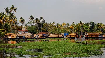 keralan-backwater-experience-10