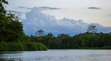 Kinabatangan-River-Safari-01-gaua