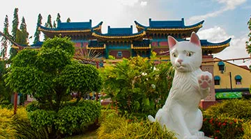 Kuching-04-iti-check