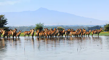 lake-naivasha-01-north