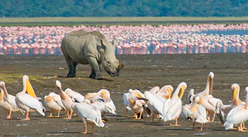 lake-nakuru-01-north