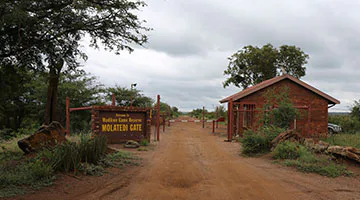 Madikwe-iti-1