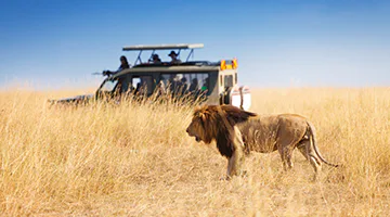 masai-mara-01-elew