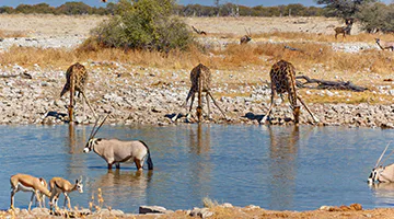 ol-pejeta-01-norht