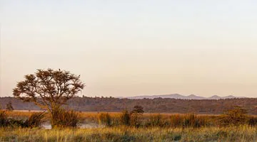 out-of-africa-experience