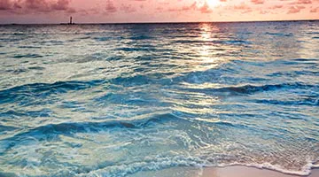 pacific-coast-explorer-05