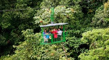 rain-forest-aerial-tram