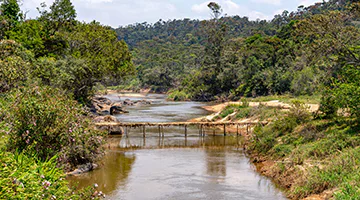 ranomafana-national-park-best