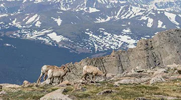 rocky-mountain-frontier-04