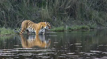rural-nepal-experience-06