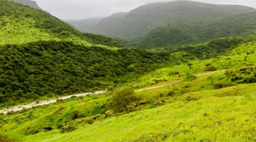 salalah-landscape-02