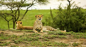 sky-safari-tanzania-classic-03