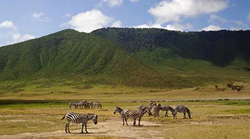 sky-safari-tanzania-classic-05