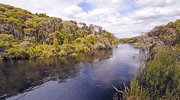 south-island-nature-trail-06