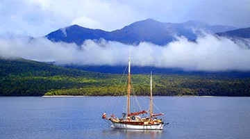 south-island-nature-trail-07