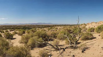 southern-california-highlight-08