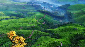 splendours-of-south-india-10