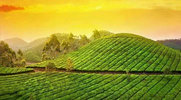 splendours-of-south-india-11