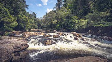 taman-negara-01-3days