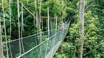 taman-negara-03-3days