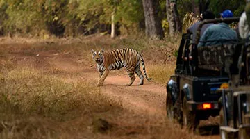 the-wild-and-rustic-india-05
