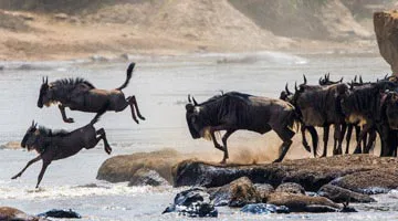 through-the-rift-valley-03