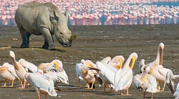 through-the-rift-valley-04