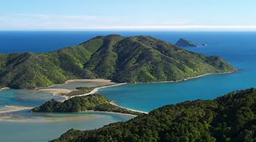 top-of-the-south-03