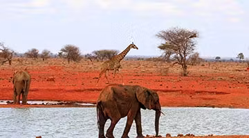 Tsavo-East-National-Park-03-4
