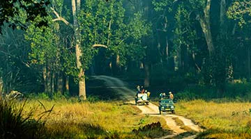 tsd-kanha-03