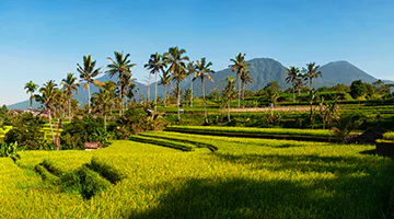 ubud-01-amaz