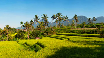 ubud-best