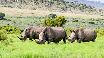 waterberg-01
