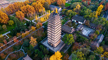 wild-goose-pagoda