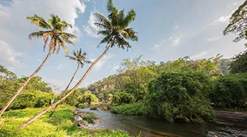wonders-of-north-kerala-05