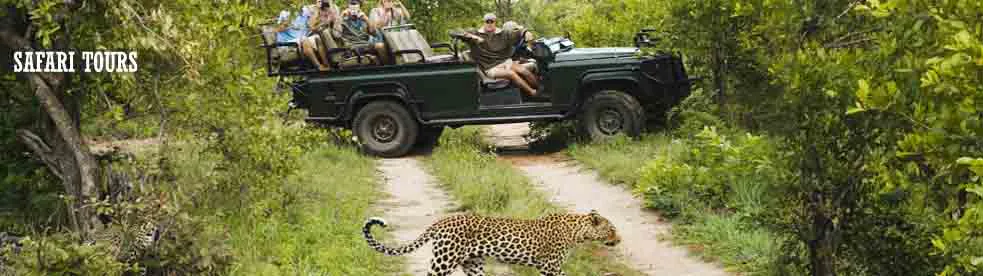 Luxury Tailored Safari’s
