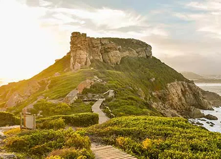 Cape Town, Garden Route Uncovered and Safari