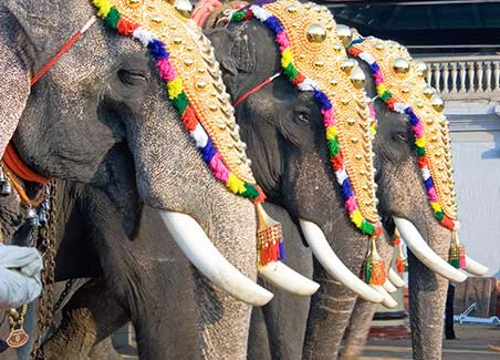 Wonders of North Kerala
