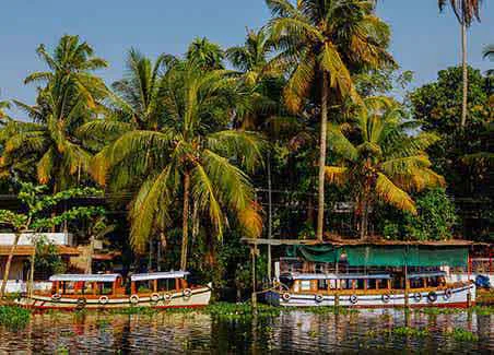 Kerala Experience