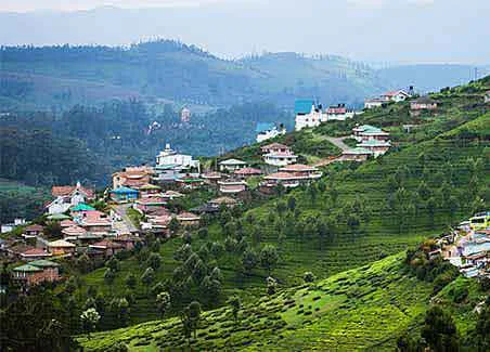 Southern Panorama