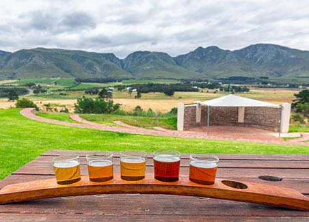 Craft Beer Tasting and Sunset Beach BBQ (Braai) Experience