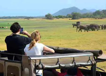 Serengeti Fly-in Safaris