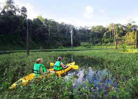 Elephant Hills Jungle Lake Safari