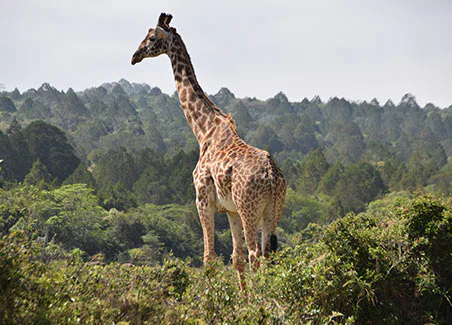 Embrace Northern Tanzania