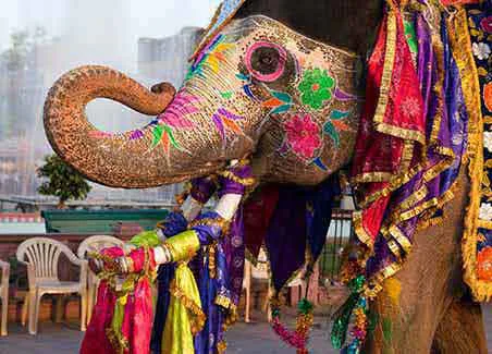 Treasures of Northern India