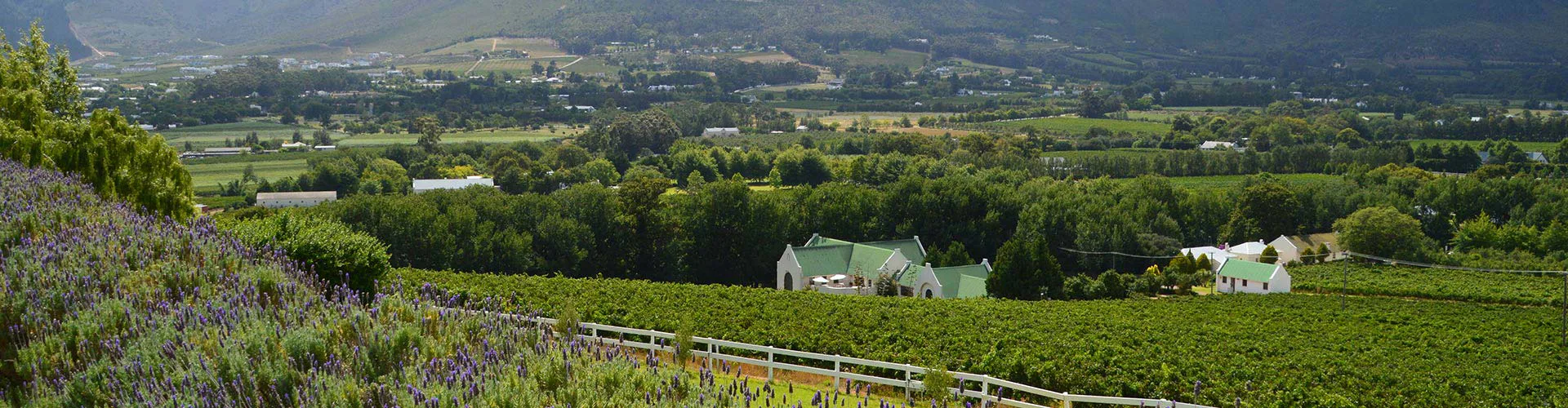 ah-winelands-bbq--and-wine-tasting-experience-01