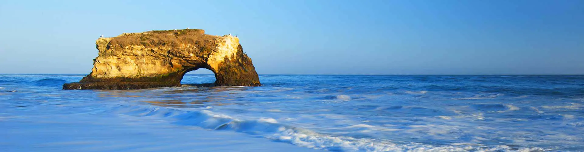 Golden-California