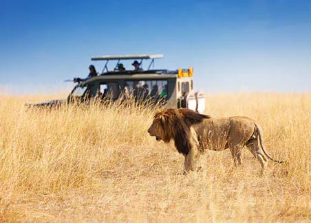 Luxury Masai Mara Safari Experience & Beach Stay