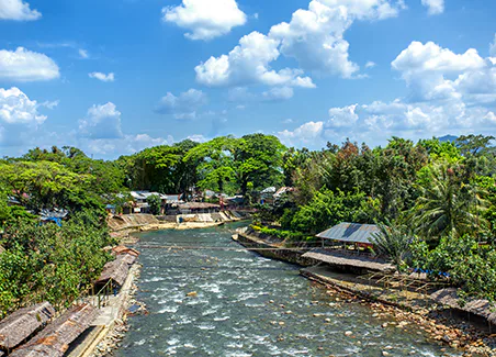 Sumatran Rainforest Experience