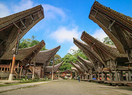 Toraja Tour